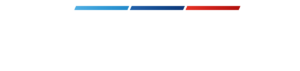 Wiltronic logo white